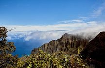 Kauai Full Day Tour with Cruise ships or Kauai Airport Pickup 