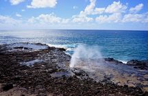 Kauai Full Day Tour with Cruise ships or Kauai Airport Pickup 