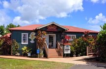 Kauai Full Day Tour with Cruise ships or Kauai Airport Pickup