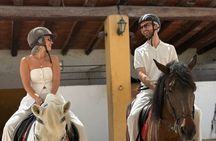 Noordhoek: Private Beach Horseback Riding in Cape Town