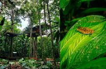 Ancient Malocan Culture and Tree House Jungle Tour