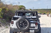 Cape Town Dessert Thrill-Dune Jeep Venture