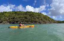 Guided Kayak Tour of Salt River Bay Ecology and History