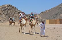 Hurghada Desert Quad Safari Camel Ridea Dinner and Stargazing