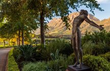 Full Day Stellenbosch Wine Tour with Tastings
