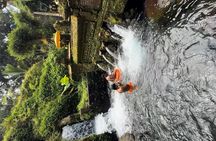 Bali Sacred Purification at Spring Water Temple