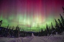 Hunting for Northern Lights in Iceland 4x4 Tour