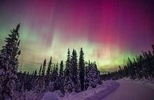 Hunting for Northern Lights in Iceland 4x4 Tour