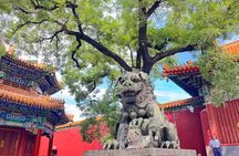 Summer Palace, Hutong Rickshaw, Lama and Confucius Temple Tour