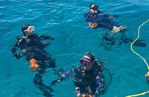 Discover Scuba Diving Course Pool Training Session in Key Largo.