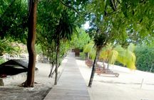 Laviscount Island, Giant Tortoises and Long Bay Beach