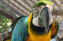 Laviscount Island, Giant Tortoises and Long Bay Beach