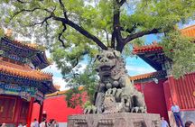 Private day: Lama Temple, Temple of heaven and Summer palace tour