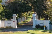 Cape Town Table Mountain, Kirstenbosch, and Constantia Tour