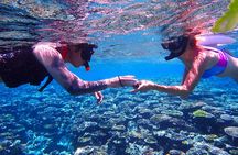Ishigaki Island Snorkeling Tour - Let's swim with corals and mackerel!!～