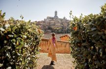 Florence Day Trip to Siena & San Gimignano with Scenic Views