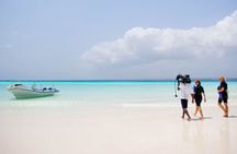 Mnemba Island Live Aquarium Tour, Half-Day with Transfer–Zanzibar