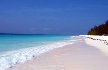 Mnemba Island Live Aquarium Tour, Half-Day with Transfer–Zanzibar