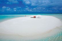 Nakupenda Island Snorkeling Adventure, Lunch, Transfer - Zanzibar