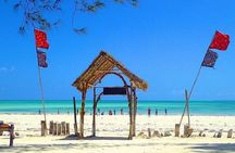 Nakupenda Island Snorkeling Adventure, Lunch, Transfer - Zanzibar