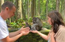 Ubud: Temple, Monkey Forest, Rice Terrace and More Include Ticket