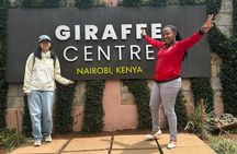 Giraffe Centre ,Beads factory &Traditional Dances Nairobi Tour