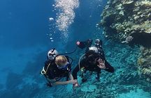 Taster Diving in Hurghada Two dives in the Red Sea