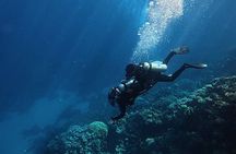 Taster Diving in Hurghada Two dives in the Red Sea
