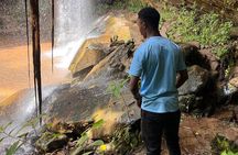 Shimba Hills and Sheldrick Waterfall Day Tour
