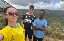 Shimba Hills and Sheldrick Waterfall Day Tour