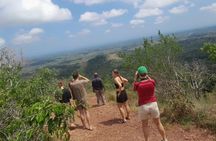 Shimba Hills and Sheldrick Waterfall Day Tour