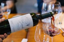 Tour en Mendoza con almuerzo gourmet en restaurante premiado