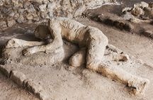 Small-Group Shared Tour Pompeii and Sorrento