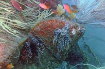 Dubai Scuba Diving Private Trip Experience