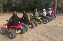 Tampa ATV Rentals for Thrilling Off-Road Adventures