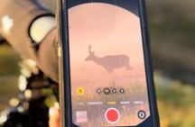 2 Day Yellowstone Safari Upper and Lower Loop Bozeman