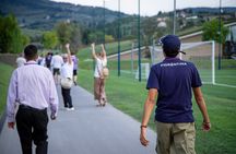 Viola Park Guided Tour Discover ACF Fiorentina's Home Base