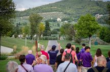 Viola Park Guided Tour Discover ACF Fiorentina's Home Base