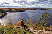 Algonquin Shuttle from Toronto