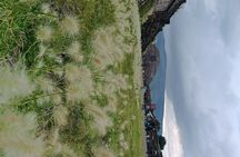 Teotihuacan Pyramids small groups and Basilica of Guadalupe