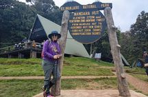 Kilimanjaro 1 Day Hike on the Marangu Route
