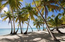 Saona Island Tour