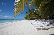 Saona Island Tour