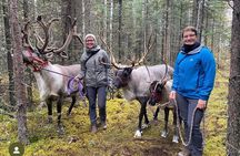 45 Minute Private Reindeer Tour