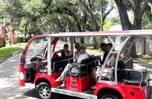 Wine & Dine Tour (St. Augustine)
