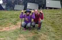 Kilimanjaro 1 Day Hike on the Marangu Route