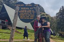 Kilimanjaro 1 Day Hike on the Marangu Route