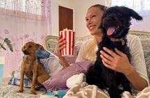 Puppies and Movies: A Feel-Good Film Night with Rescue Pups