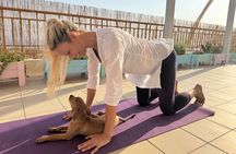 Puppy Yoga in einer Meerblick-Villa bei Paphos (Kleingruppe)