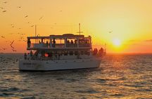 Sunset Dolphin Cruise in Destin